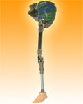QyPȼ֫
飺yPȼ֫
c17852